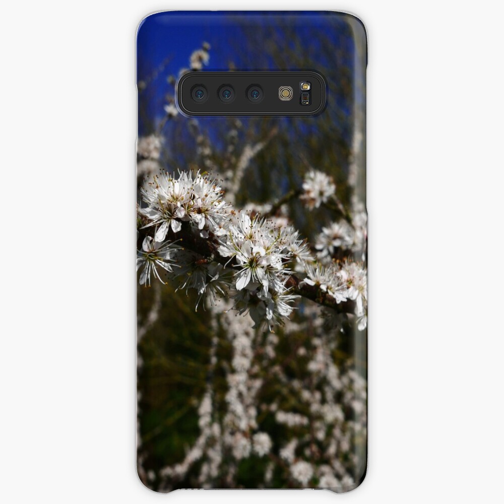 Blackthorn (Prunus spinosa) Case & Skin for Samsung Galaxy