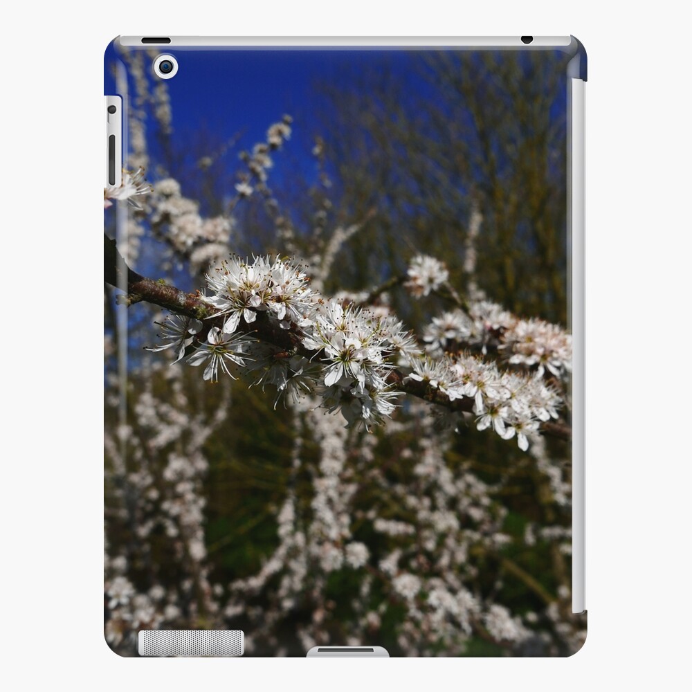 Blackthorn (Prunus spinosa) iPad Case & Skin