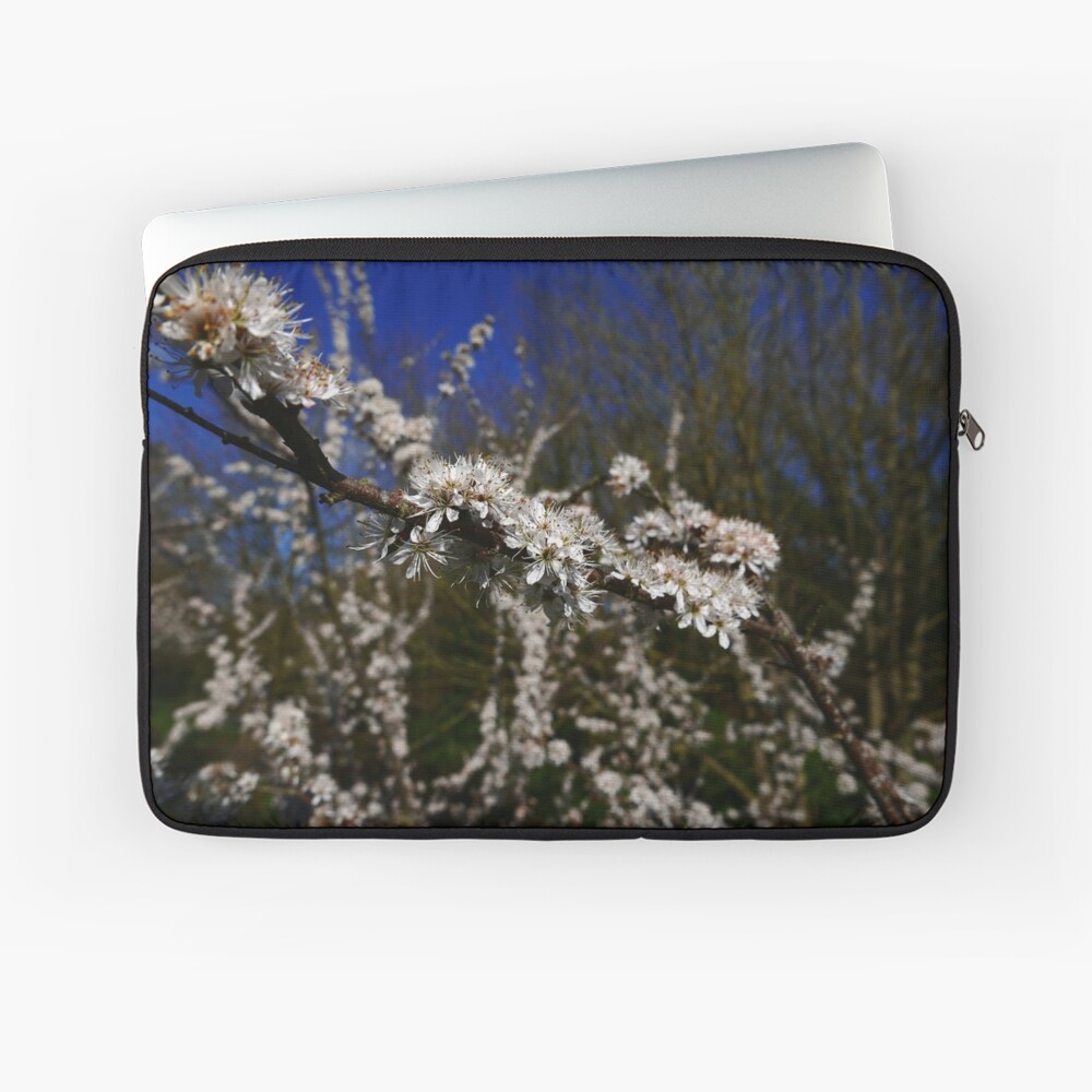 Blackthorn (Prunus spinosa) Laptop Sleeve