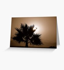 Into the light Greeting Card
