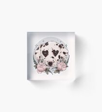 dalmatian dog Acrylic Block