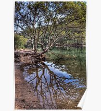 Still Water REFLECTION Poster