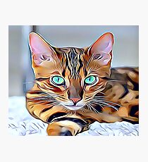 Lámina fotográfica El gato de bengala