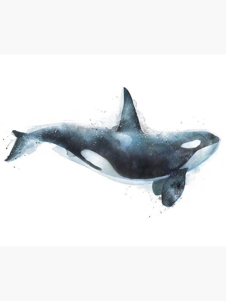 Orca by AmyHamilton