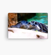 Two's Company: Canvas Print