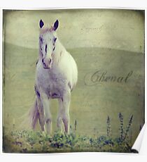 Cheval Poster
