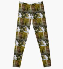 Legging Spain. Madrid. Fall in Buen Retiro park.