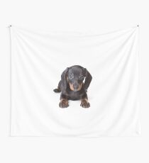 Charming cute dachshund puppy dog Wall Tapestry