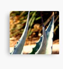 spike Canvas Print