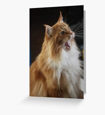 La la la la laaaaaah!!! Greeting Card