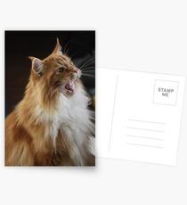 La la la la laaaaaah!!! Postcards