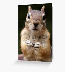 I'm Listening Greeting Card