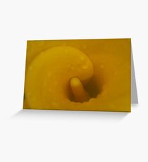 lilly after the rain Greeting Card