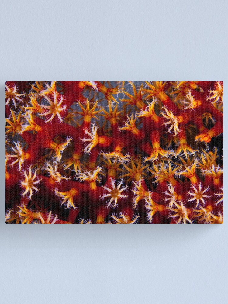 Alternate view of Animal flowers Canvas Print