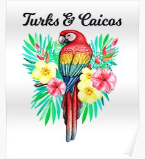 Turks & Caicos Beautiful Hand Drawn Tropical Parrot In Tropical Flowers /Foilage Poster