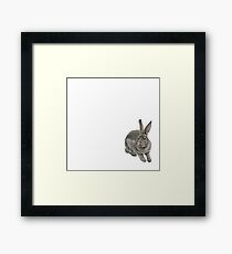 Hase Gerahmtes Wandbild