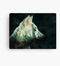 Wilder Wolf Leinwanddruck