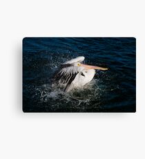 Splashing about Canvas Print