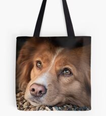 The Posing Toller Tote Bag