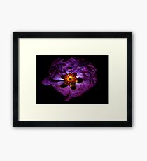 Colours Framed Print