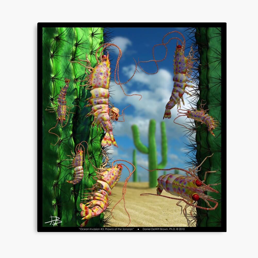 Ocean Invasion #5: Prawns of the Sonoran Canvas Print