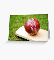 Cricket Greeting Card