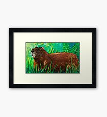 Groundhog Framed Print