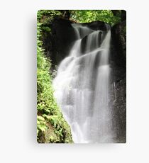 Glenariff Forest Canvas Print