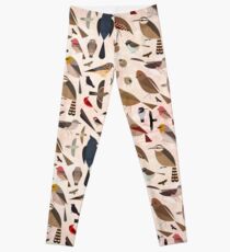 Sonoran Birds Leggings
