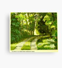 Green Forest Canvas Print