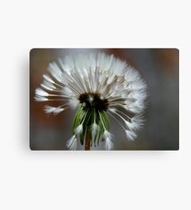 struwwelpeter Canvas Print