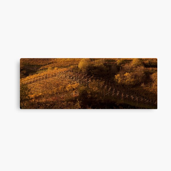 Uphill and down, Bolzano-Bozen, Italy, 2009 Canvas Print