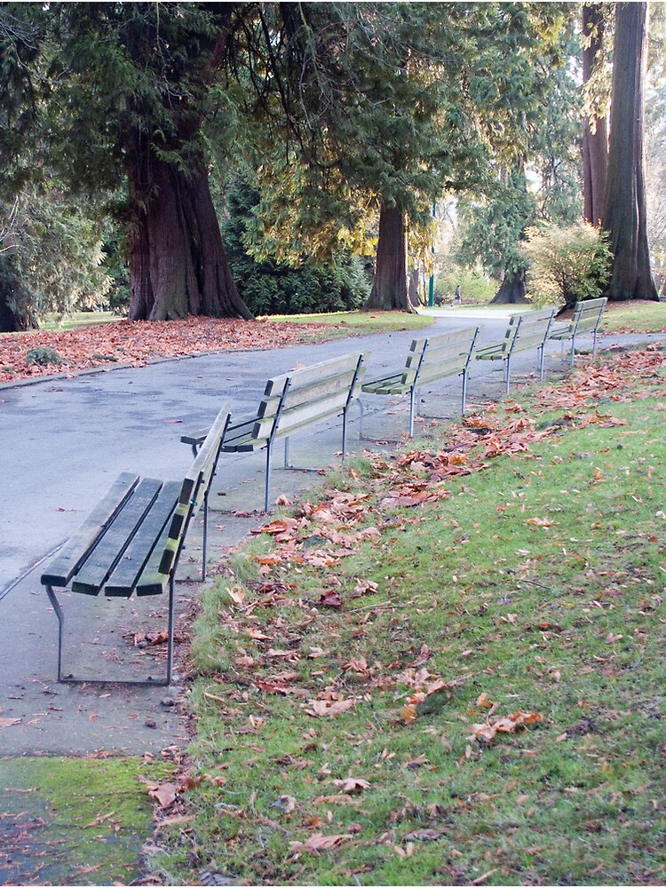Done for the season, Vancouver, Canada, 2007 by chrisculy