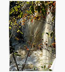 Hidden Falls Poster