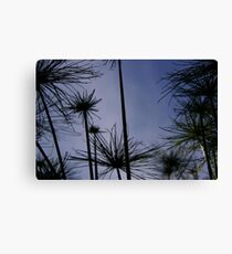 Field of Line Canvas Print