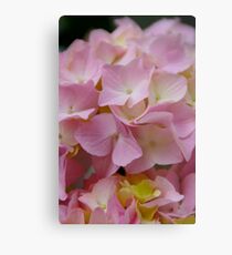 Pink Metal Print