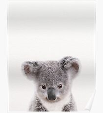 Baby Koala, Baby Animals Art Print by Synplus Poster