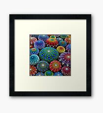Jewel Drop Mandala Stone Collection #1 Framed Print