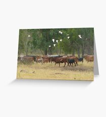 going the wrong way Greeting Card