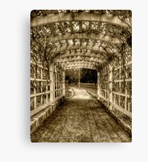 Entwine - Wahroonga Park (Sepia) Canvas Print