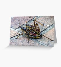 Grass Hopper Greeting Card