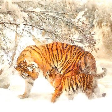 Tiger Mother with Cub in the Snow Art Print