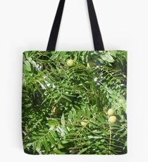 Little Walnut, Texas Walnut, River Walnut, or Nogalito Tote Bag
