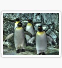 Four Penguins Sticker