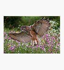 Landing Approach Photographic Print