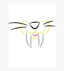 Baby Puss Photographic Print