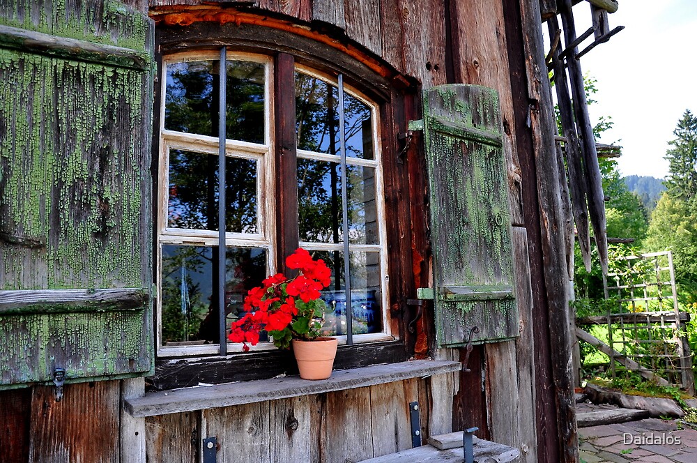 "Beautiful Window" by Daidalos Redbubble
