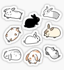 Bunny Rabbit Stickers Sticker