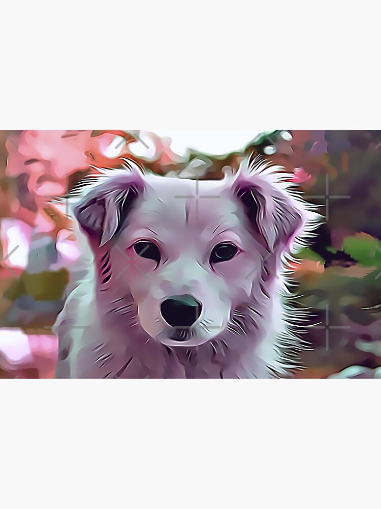 The Catahoula Leopard Dog by Sunleil