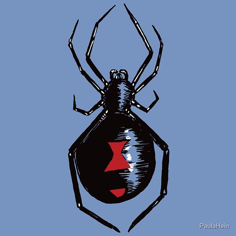 "Black Widow Spider Illustration" by PaulaHein Redbubble